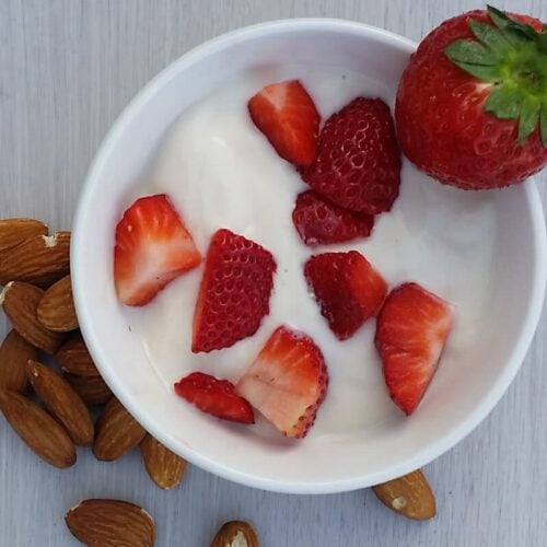 Homemade Almond Milk Yogurt (Gluten Free, Paleo, Vegan) Small