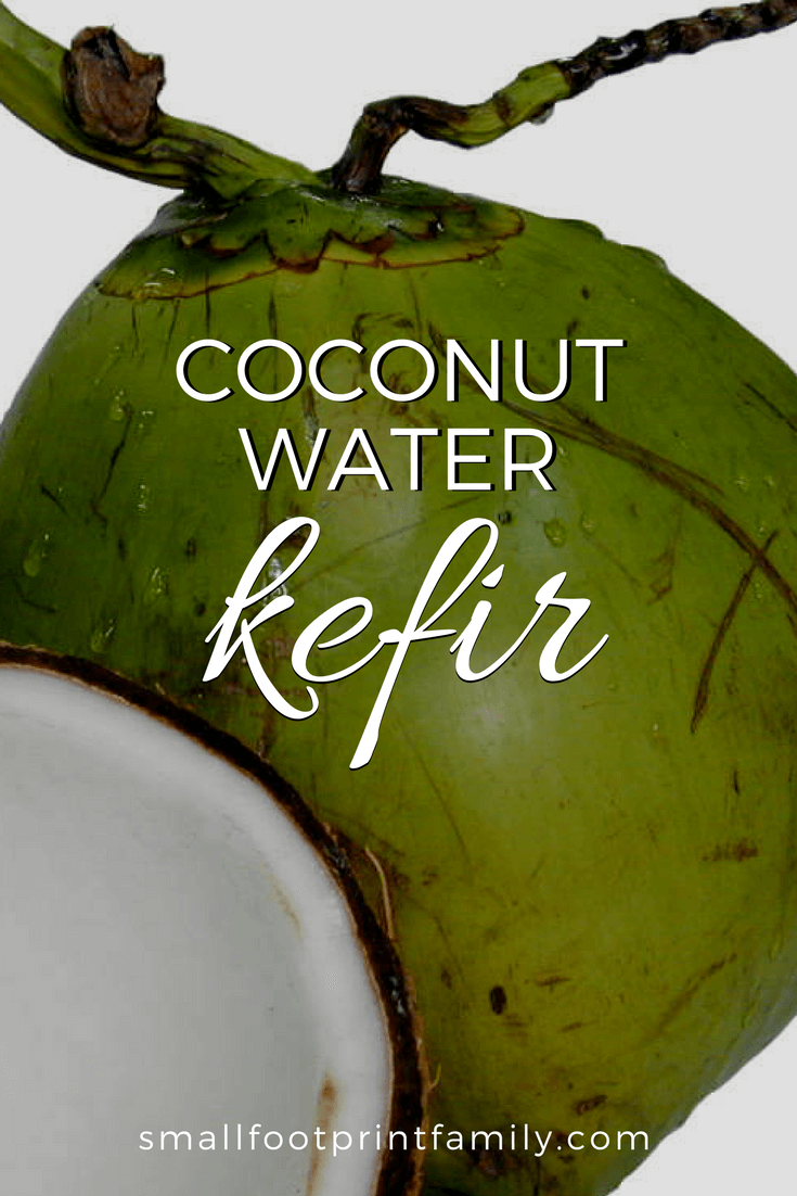 Coconut water kefir is a bubbly, delicious drink made from probiotic bacteria and healthy yeast that ferment the sugar in the coconut water. Here's how to make it!#paleo #paleodiet #glutenfree #dairyfree #vegan #vegetarian #rawvegan #recipe #grainfree #realfood #coconut #fermentation #lactofermentation
