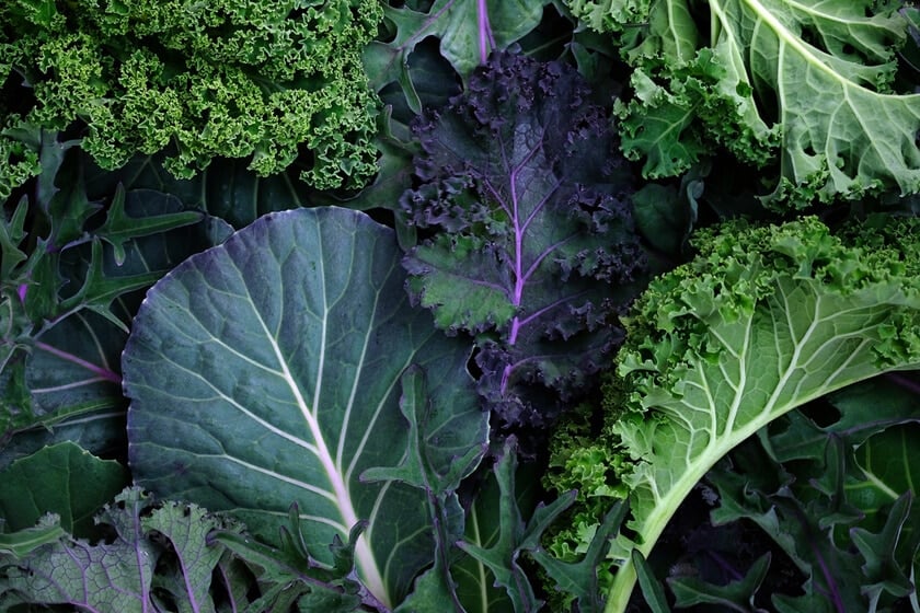 close up of a variety of kale leaves