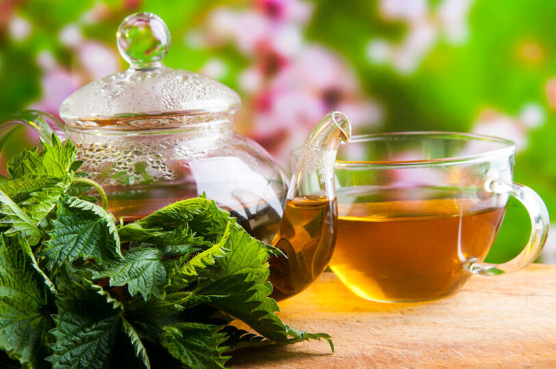 nettle tea in a glass teacup next to a glass teapot and a bunch of nettles