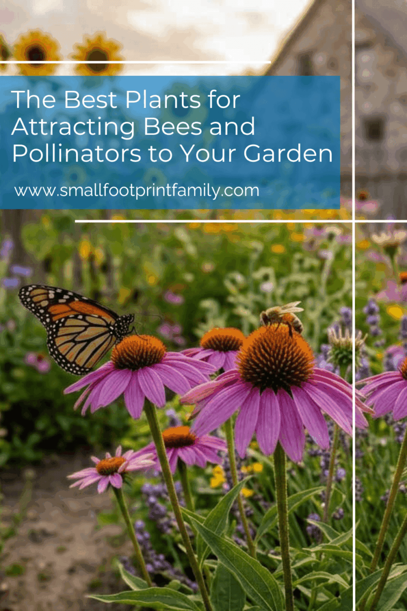a garden full of coneflowers, asters and sunflowers, butterflies and bees