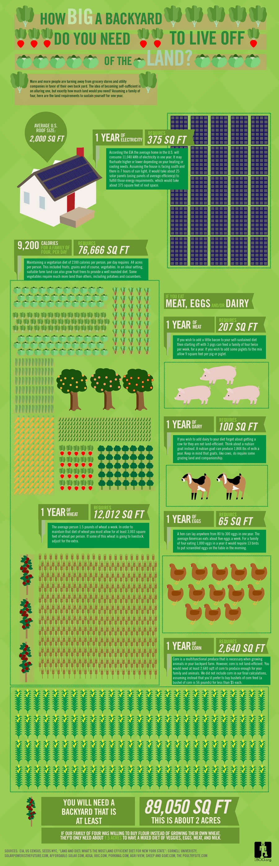 how much money can i make with 3 acres