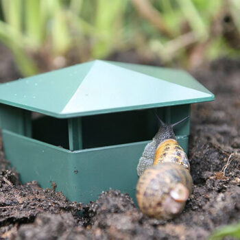 plastic beer trap for controlling snails and slugs