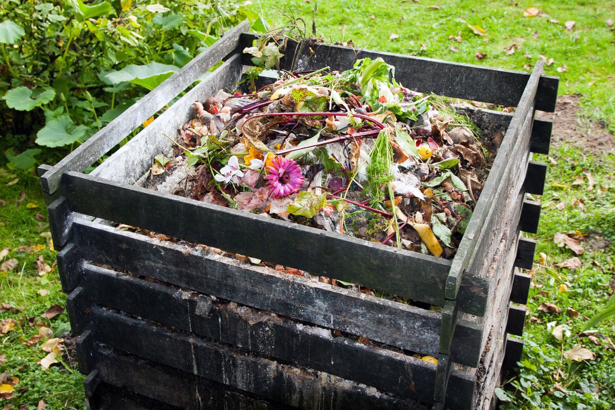 black plastic compost bin full of garden refuse