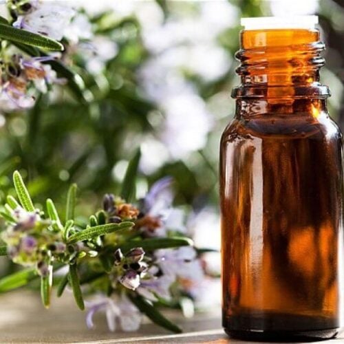 bottle of Thieve's oil on a table next to rosemary branches