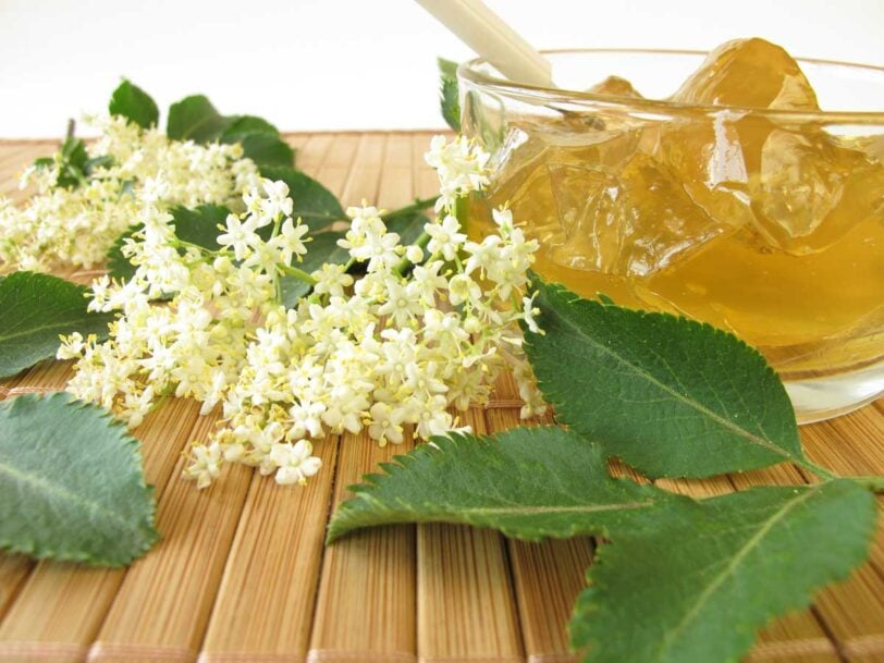 elderflower jelly in a jar next to elderflowers on a wooden table