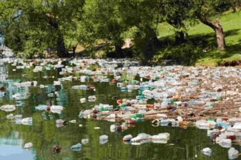 lakeside polluted with plastic bottles