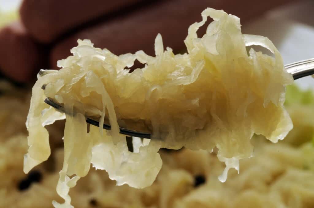 homemade sauerkraut on a fork