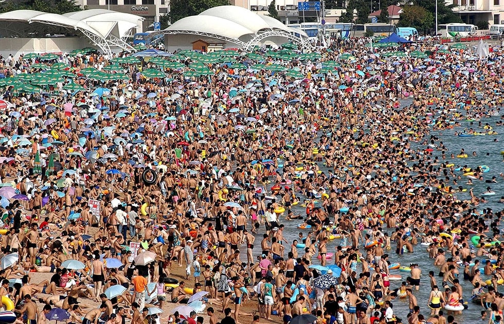 The Impact Of Overpopulation