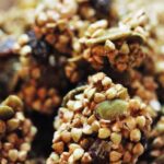 Boxed cereals are processed foods that contain almost no nutrition at all (unless they are sprayed with synthetic vitamins—yuck!). This sprouted buckwheat granola recipe is a truly healthy whole food breakfast cereal alternative.