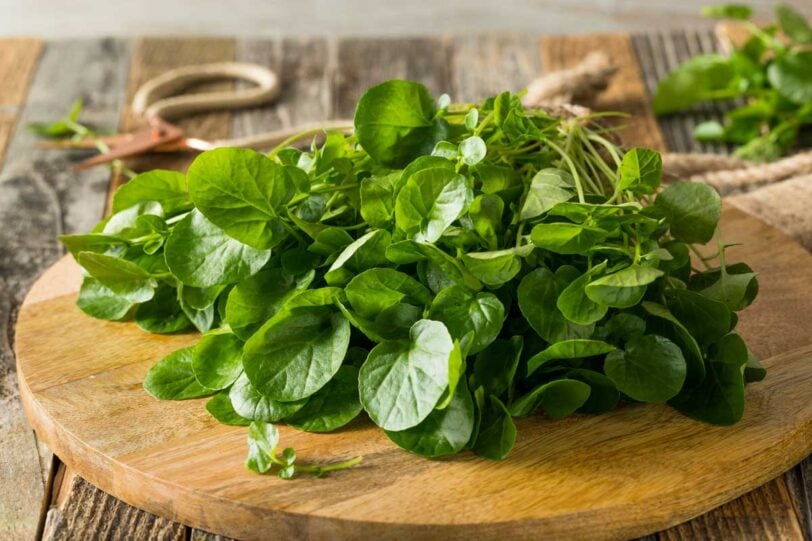 watercress leaves on a cutting board